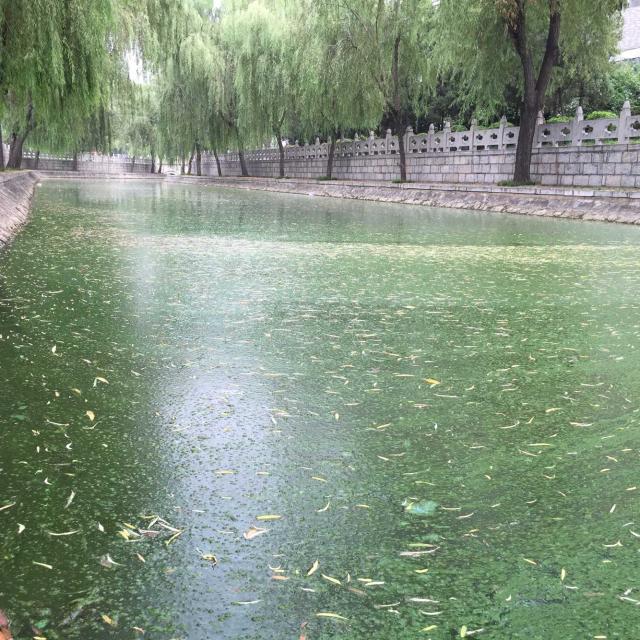 被污染的河流 被污染的河流